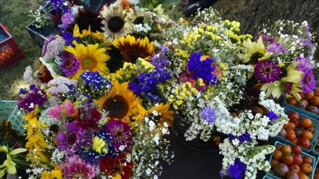 Organic flower bouquets