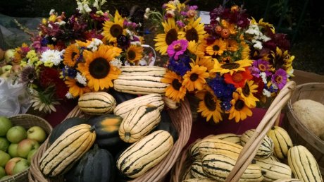 Delicata and flowers